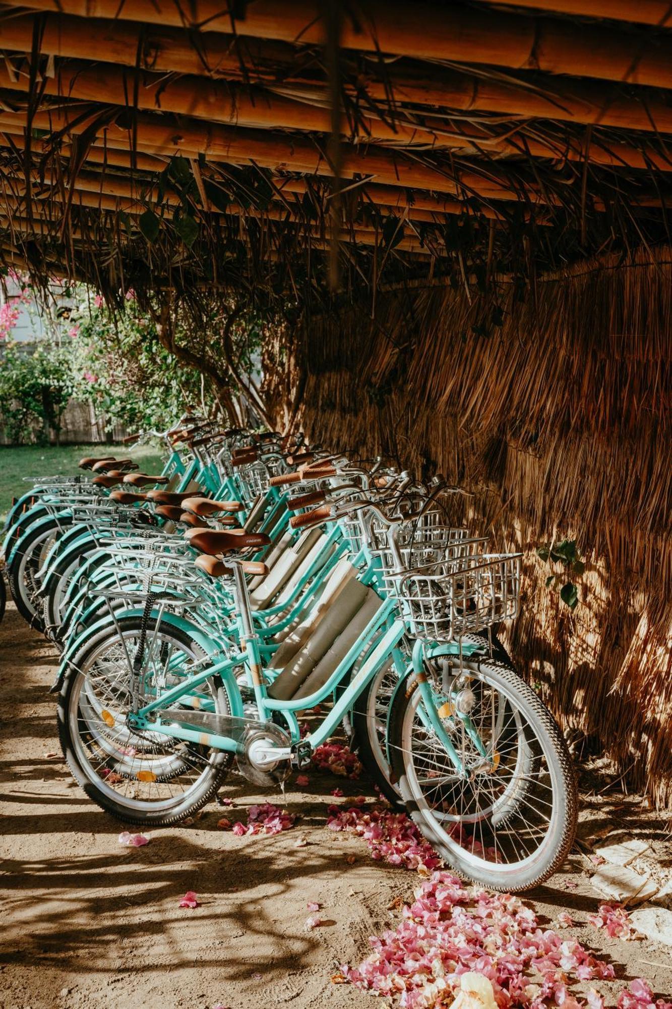 גילי טרוונגן Coco Lemon Gili Resort מראה חיצוני תמונה