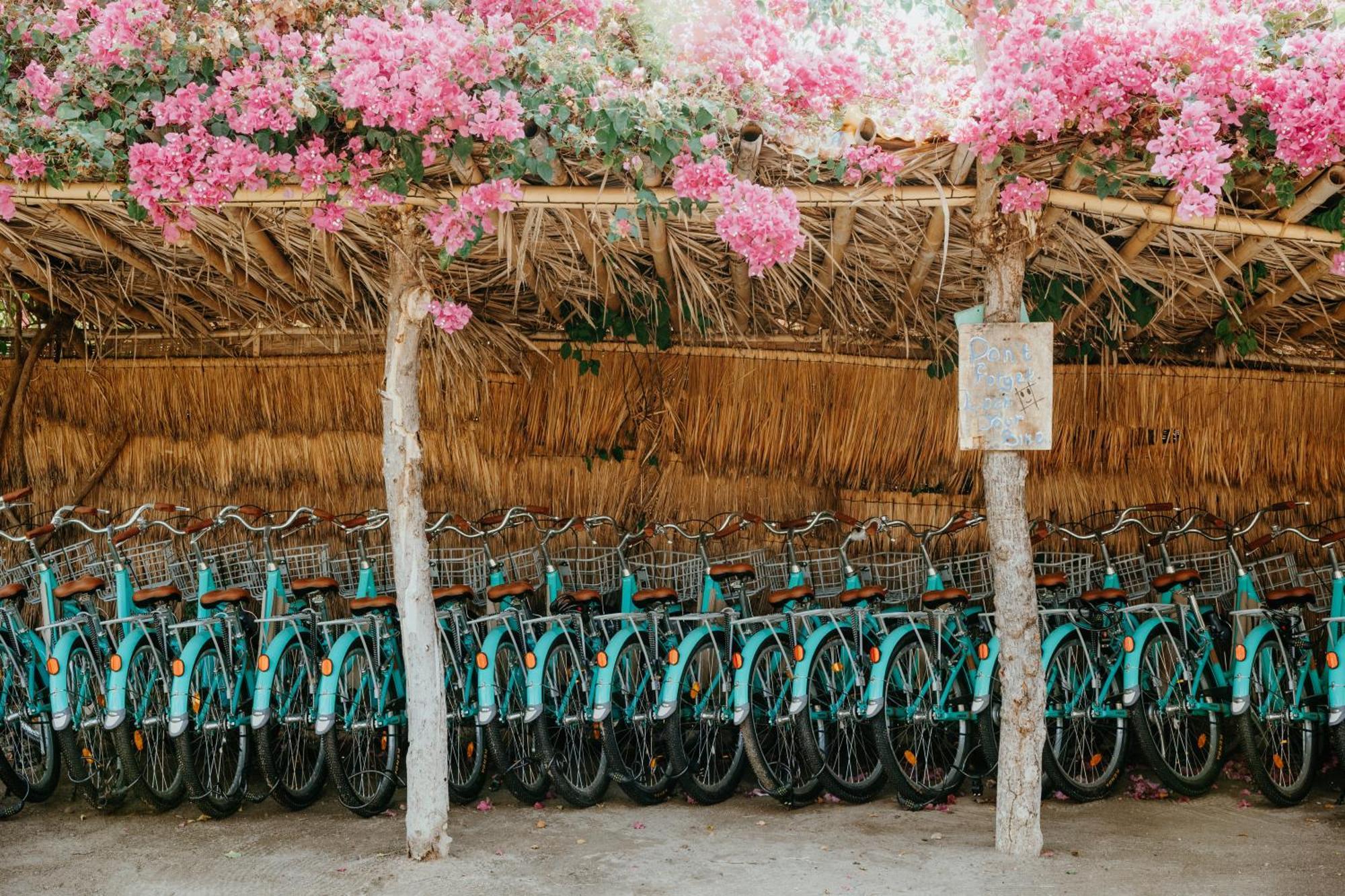 גילי טרוונגן Coco Lemon Gili Resort מראה חיצוני תמונה